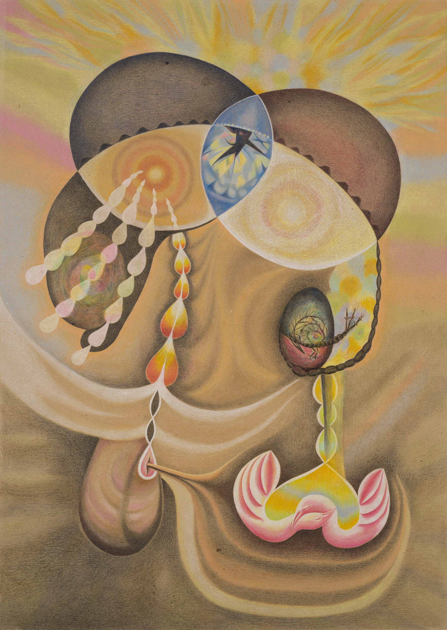 Dibujo de Sandra Guascone