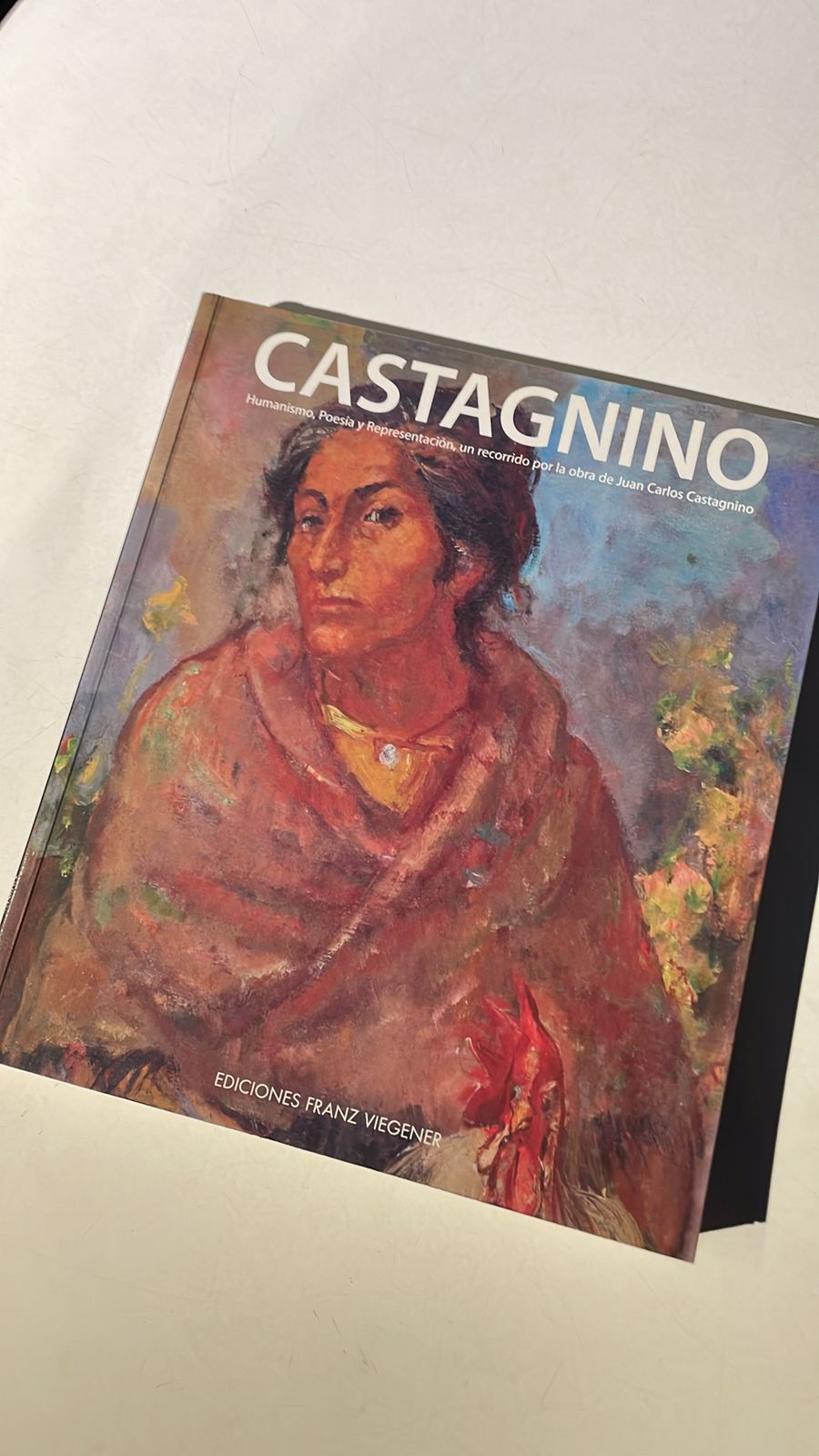 PRESENTACION DEL LIBRO DE JUAN CARLOS cASTAGNINO